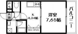 ハミルトンプリンセス　間取り図